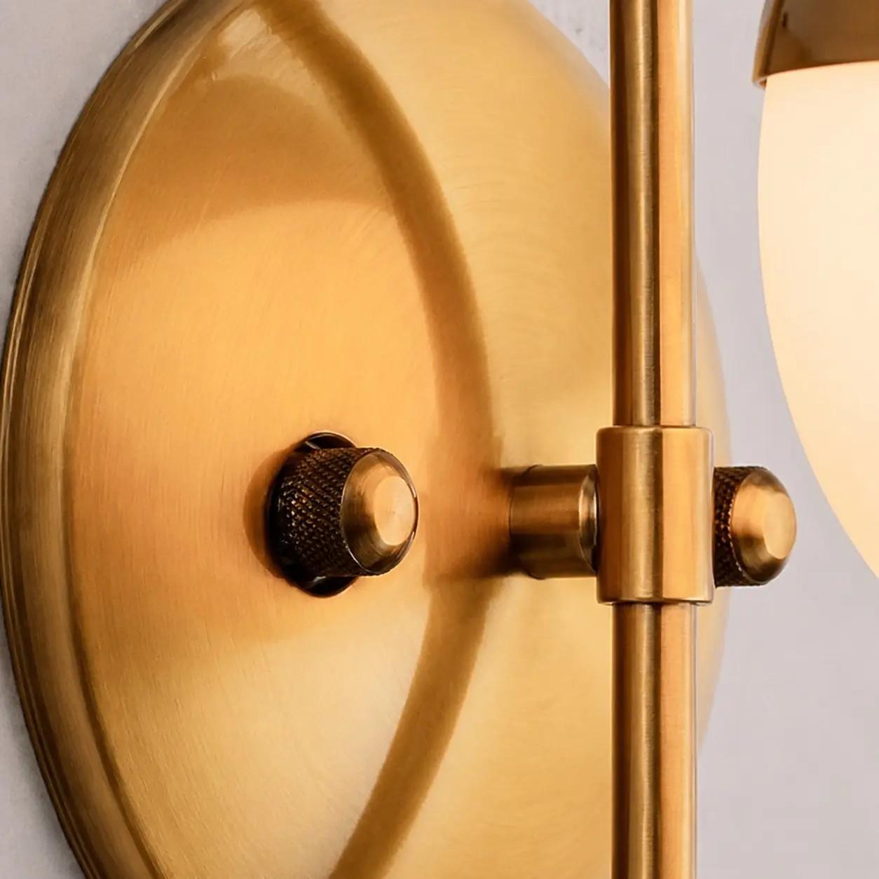 Detalle de la placa de pared y la articulación del brazo